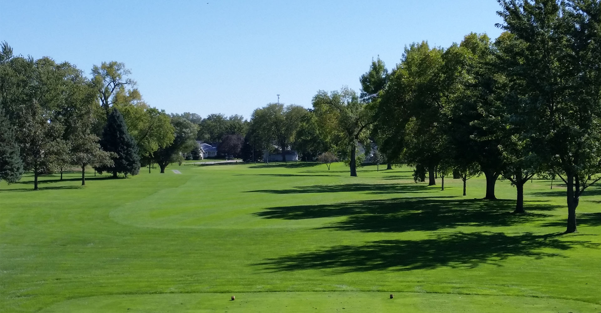 golf course green with shadows